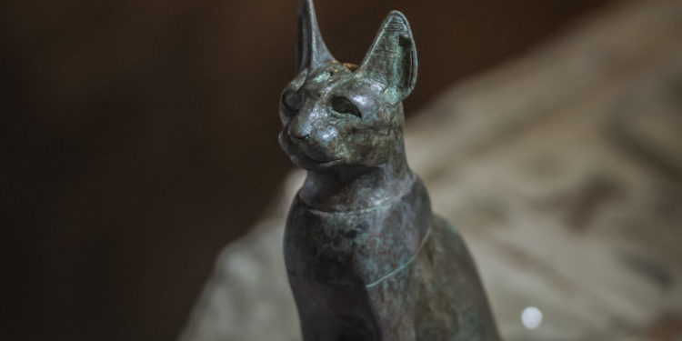 Pourquoi les chats sont sacrés en Egypte ?