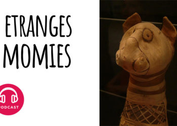 Pourquoi les Egyptiens Venerent les chats ?