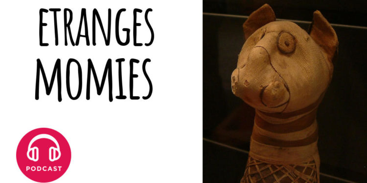 Pourquoi les Egyptiens Venerent les chats ?