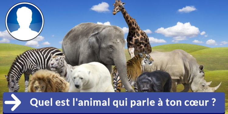 Quel est l'animal qui parle ?