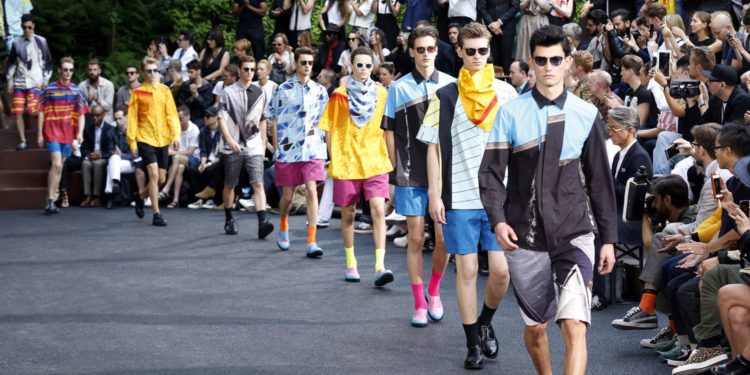 Quel singe Peut-on adopter en France ?