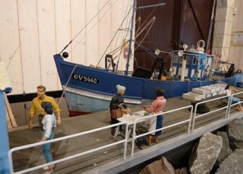 Quel perroquet pour un débutant ?