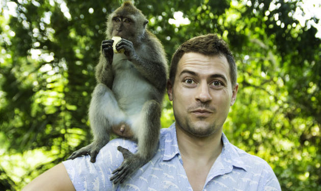 Est-il possible d'avoir un singe ?