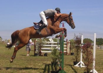 Quel hauteur saute un cheval ?