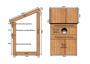 Quel diamètre de trou pour nichoir Rouge-gorge ?