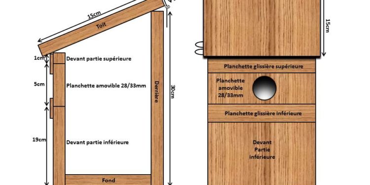Quel diamètre de trou pour nichoir Rouge-gorge ?