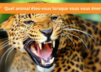 Quel animal rampe ?