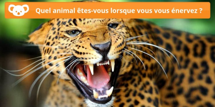 Quel animal rampe ?
