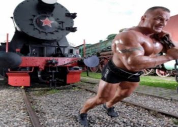 Quel est le primate le plus fort ?