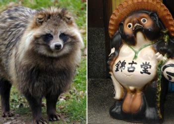 Quel est l'animal sacré du Japon ?