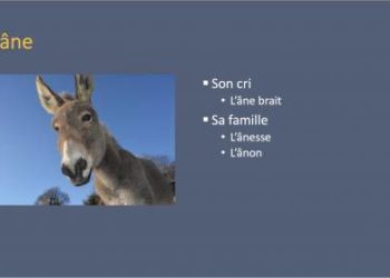 Comment s'appelle l'âne dans son histoire ?