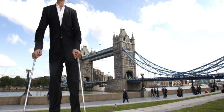 Quel est l'ours le plus grand du monde ?