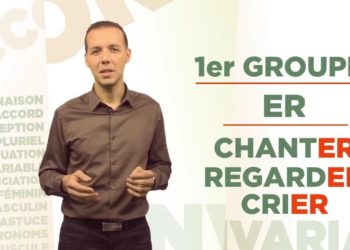 Quels sont les trois groupes de félidés ?