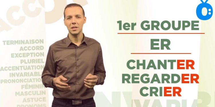 Quels sont les trois groupes de félidés ?