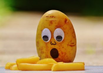 Puis-je donner de la pomme à mon lapin ?