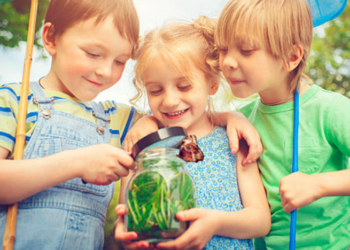 Quel insecte peut mordre ?