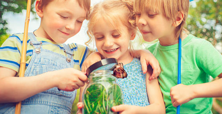 Quel insecte peut mordre ?