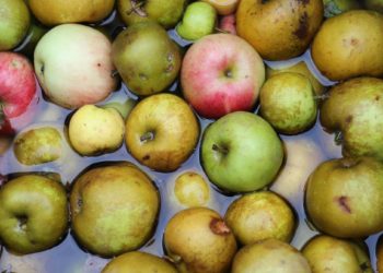 Pourquoi le jus de pomme donne la chiasse ?