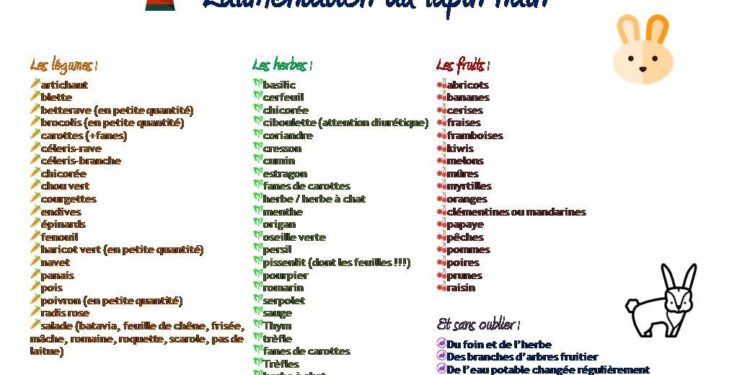 Quel aliment peut tuer un lapin ?
