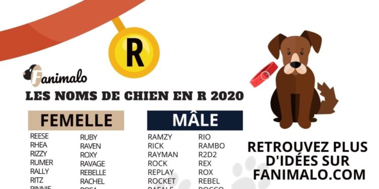Quel nom pour un chien mâle ?