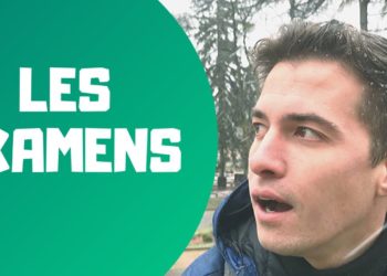 Pourquoi le rottweiler est dangereux ?