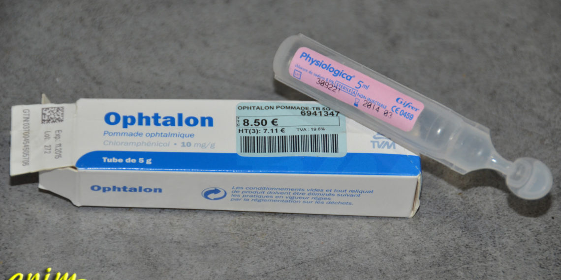 Quel antibiotique pour conjonctivite chien