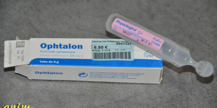 Quel antibiotique pour conjonctivite chien ?