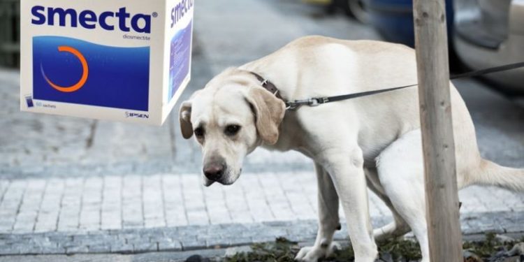 Quand donner du Smecta ?