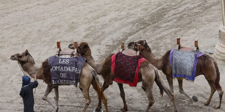 Quel pays commence par la lettre Q ?