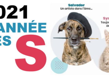 Quelle lettre pour les vaches en 2021 ?