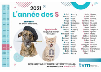 Quel lettre pour les animaux en 2021 ?