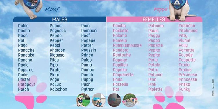 Quelle lettre pour les chiens en 2019 femelle ?