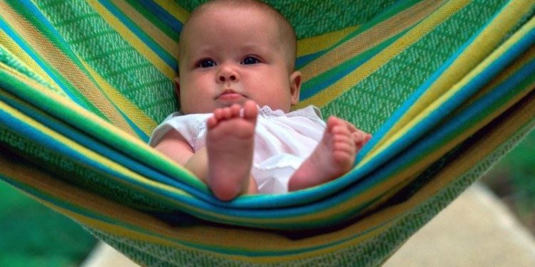 Quel nom donner à un singe ?