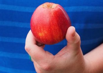 Est-ce que tout se mange dans une pomme ?