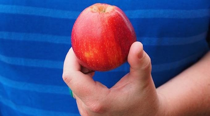 Est-ce que tout se mange dans une pomme ?