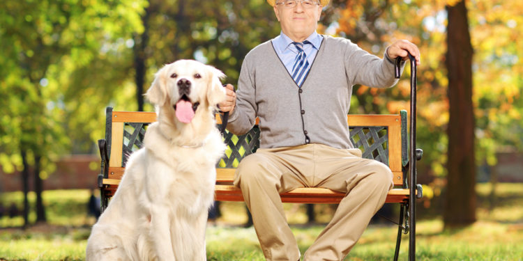 Quel chat pour une personne agée ?