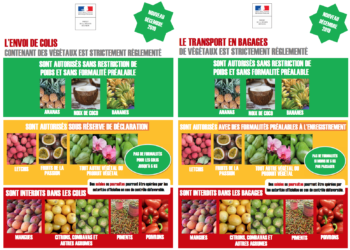 Quel pays commence par i ?