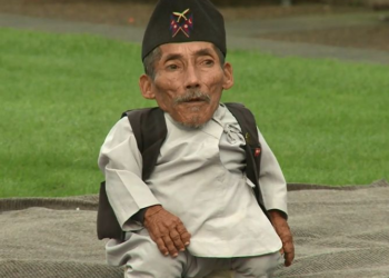 Quel est le plus petit des bichons ?