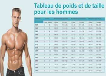 Quel est le poids idéal pour un chihuahua ?