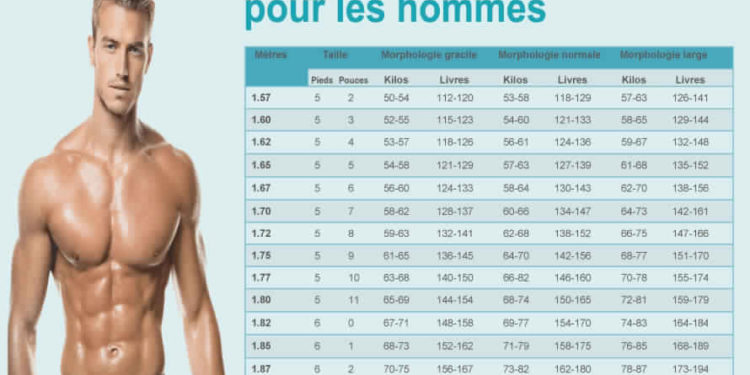 Quel est le poids idéal pour un chihuahua ?