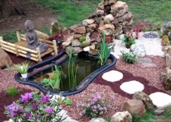 Quel poisson pour un bassin de 500l ?