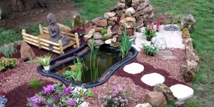 Quel poisson pour un bassin de 500l ?