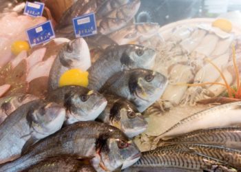 Quel poisson acheter au marché ?