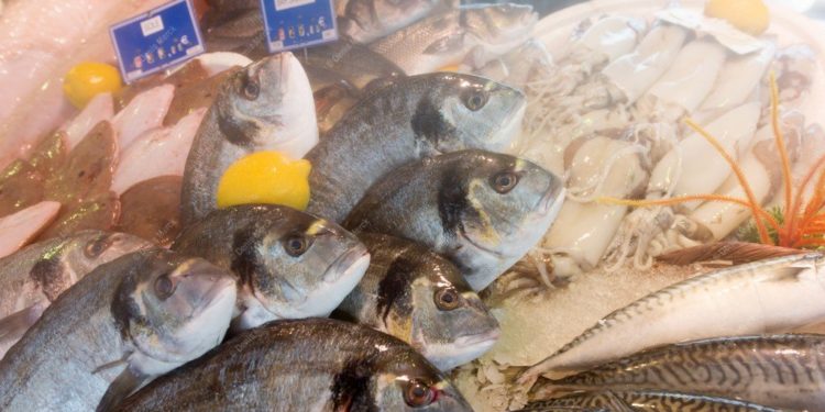 Quel poisson acheter au marché ?