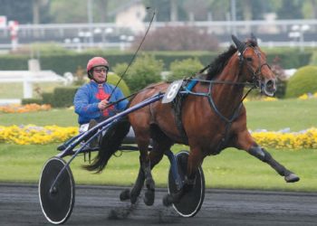 Quel est le prix d'un cheval de course ?