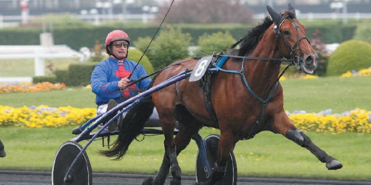 Quel est le prix d'un cheval de course ?