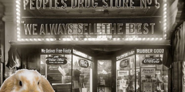 Comment ça coûte un rottweiler ?