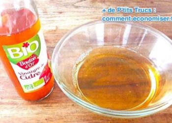 Quel est le produit le plus efficace contre les puces ?