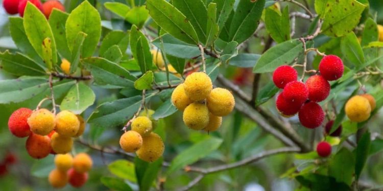 Où trouver des serpents dans la nature ?