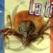 Quel est l'insecte le plus dangereux de France ?